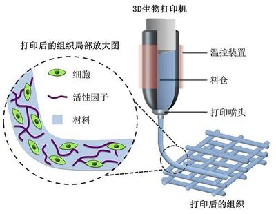 探索2018高考專業(yè)新選擇 生物功能材料，未來(lái)3D打印的基石