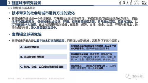 全球城市智慧化轉型的遙感洞察 案例研究與地理信息服務賦能